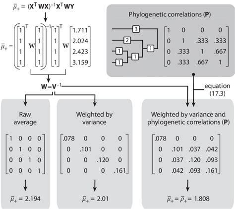 2 An Illustration Of Applying Three Models Of Covariance Matrices W