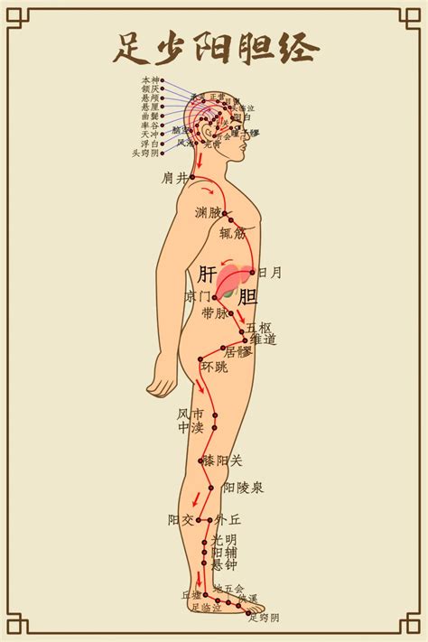 春季宜养肝，疏肝理气这样做