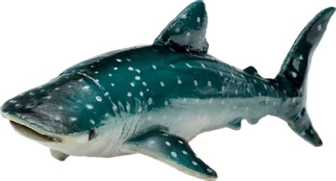 Фигурки акул - ROZETKA | Купить недорого: 🔥 цены, отзывы, продажа в Украине