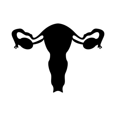 Female Genitals Silhouette Vector Illustration 13461700 Vector Art At