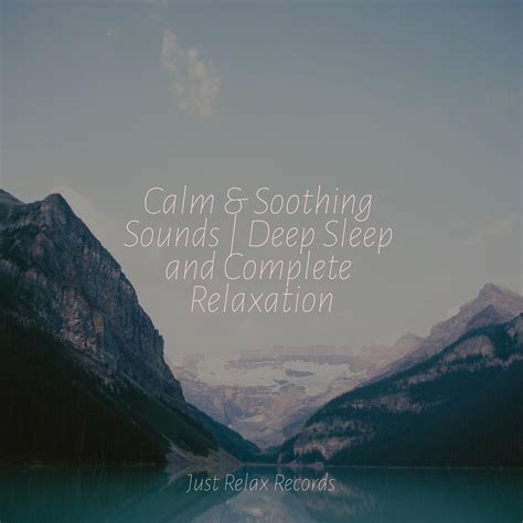 Calm Soothing Sounds Deep Sleep And Complete Relaxation Forest