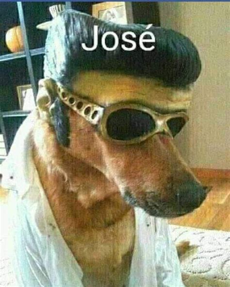 José Meme subido por goticaqlona Memedroid