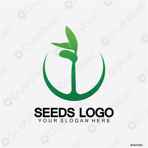 Plant Seeds Logo Concept Template Vectorgrowing Seed Logoseed Grow