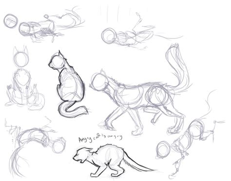 Kitty poses Animal Sketches, Animal Drawings, Art Drawings, Cat Drawing ...