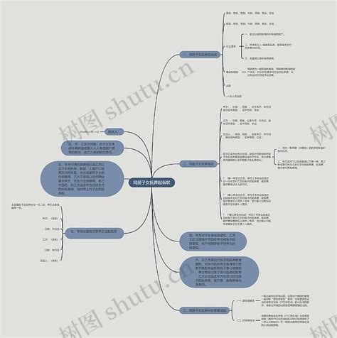 同居子女抚养起诉状思维导图编号p6164202 Treemind树图