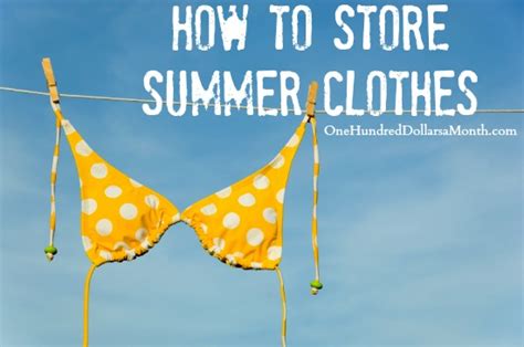 How To Store Summer Clothes One Hundred Dollars A Month