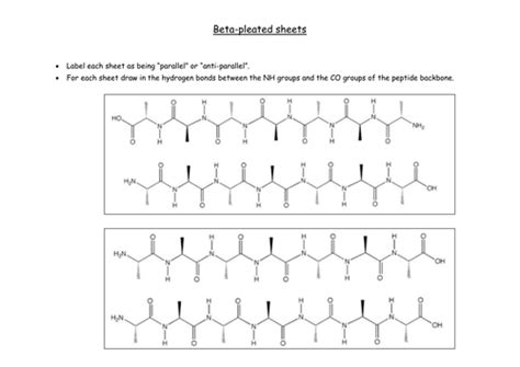 Beta sheets | Teaching Resources