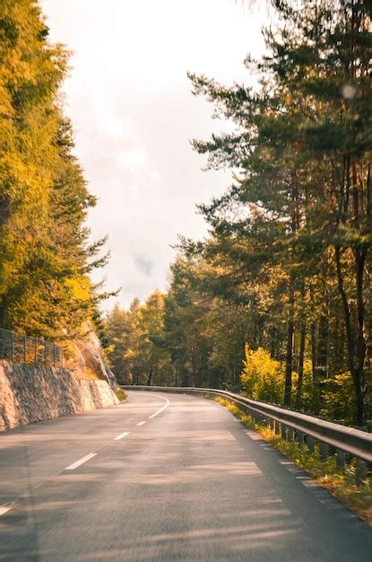 Premium Photo Diminishing Perspective Of Empty Road Amidst Trees