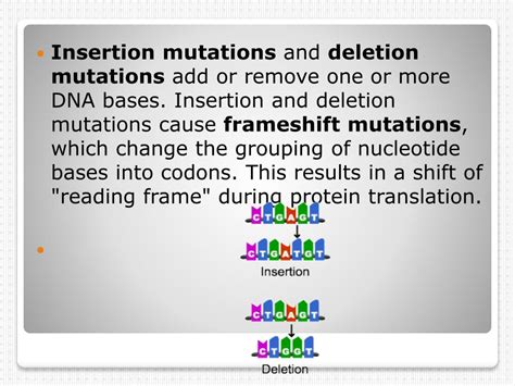 Ppt Mutations Powerpoint Presentation Free Download Id3457156