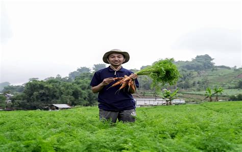 7 Daerah Dengan Jumlah Petani Milenial Terbanyak Di Indonesia Nomor 5