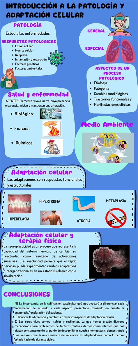 Adaptación Celular Homeostasis Gif 5