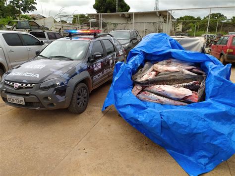 Mais De Kg De Pescado Irregular S O Apreendidos E Suspeitos S O