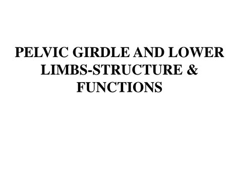 Solution Pelvic Girdle And Lower Limbs Structure Studypool