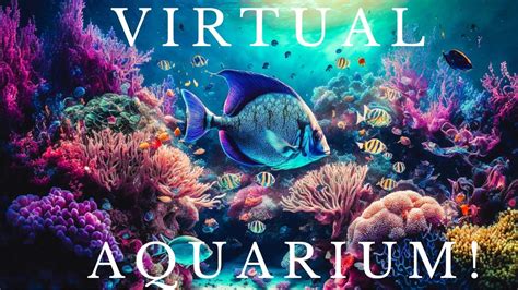 Aquarium relax music! - YouTube