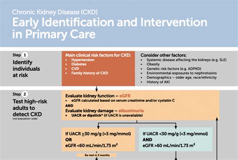 New! Quick Guide to Early CKD Identification and Intervention for ...