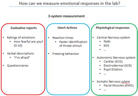 Psychophysiological Measurements Week Flashcards Quizlet