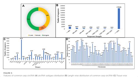 Figure 5 from Genome wide identi ﬁ cation and characterization of