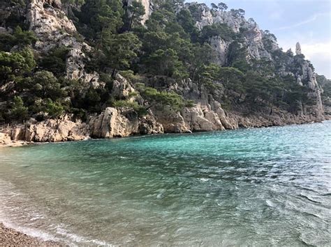 Calanque Den Vau Cassis 2019 All You Need To Know Before You Go