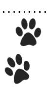 Images Of Lion Paw Print - ClipArt Best