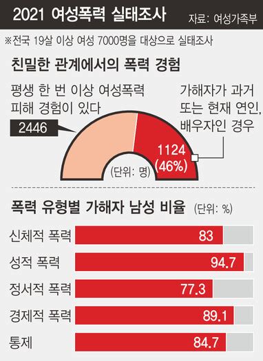 ‘여성이라서 3명 중 1명 폭력 피해가해자 절반은 연인·배우자