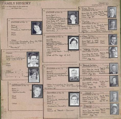 Life Stories – Family History Paper | Scrapbook Your Family Tree