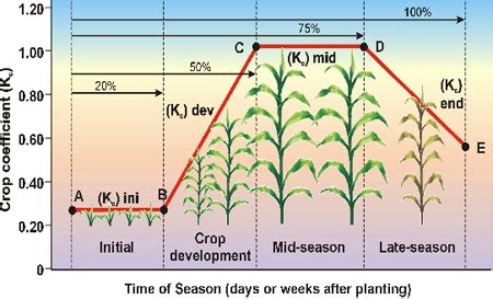 Evapotranspiration