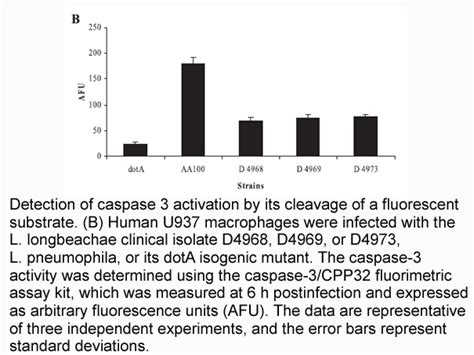 美国apexbio中文官网 Caspase 3 Fluorometric Assay Kit Detects Devd