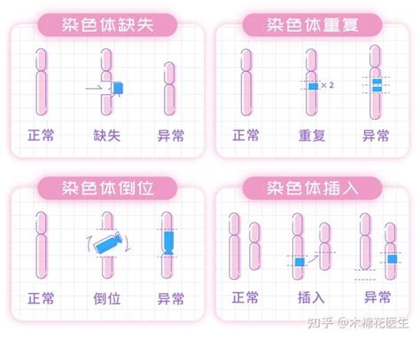 复发性流产与胚胎染色体异常 知乎