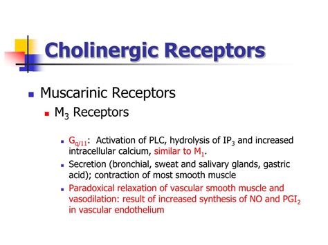 PPT - SIGNAL TRANSDUCTION BY ADRENERGIC AND CHOLINERGIC RECEPTORS PowerPoint Presentation - ID ...