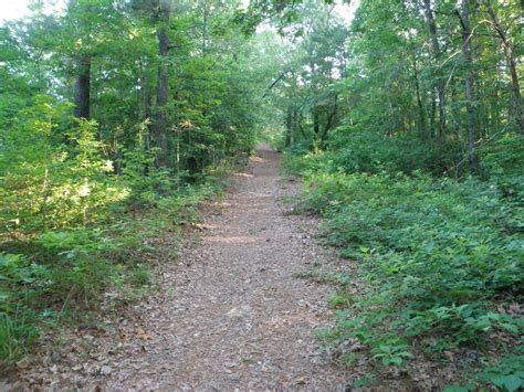 Squeakers: Driskill Mountain (Louisiana Highpoint)