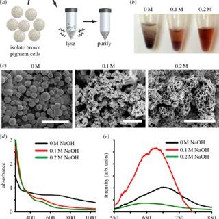 Pigment Granule Luminescence A Optical Properties Of Isolated