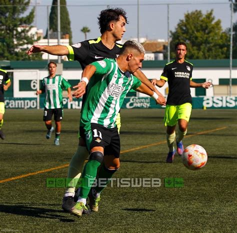 Galería de fotos del Betis DH San Roque Bpie Betisweb