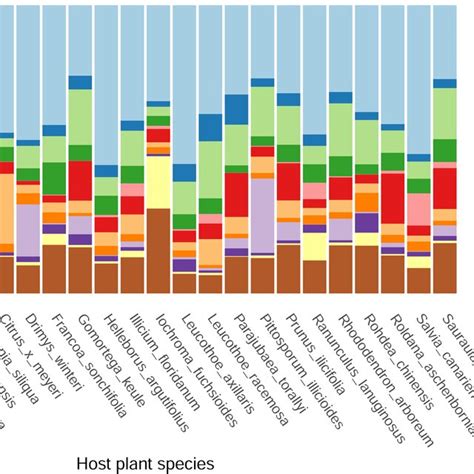 Barplot Representing The Relative Abundance Of The Most Abundant