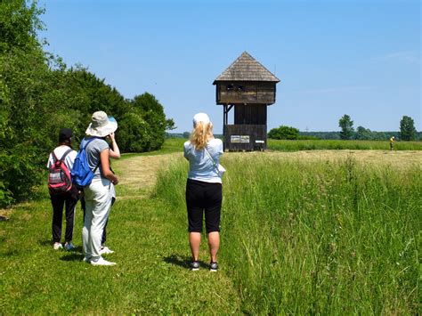 Park Prirode Lonjsko Polje Najavljuje Početak Turističke Sezone Radio