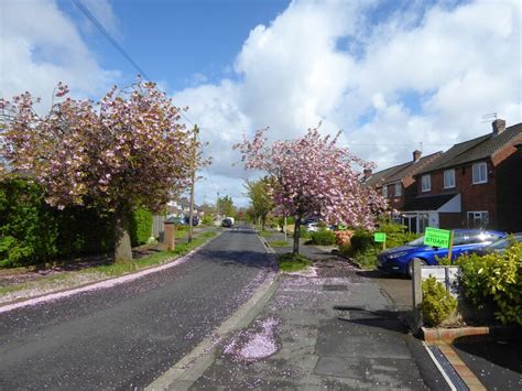 Thornton Road Kevin Waterhouse Geograph Britain And Ireland