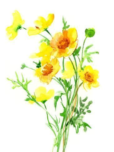 Buttercup Art Print Suren Nersisyan Art Original Watercolor