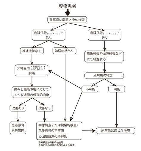 原因不明の腰痛について・よくわからない腰痛の不安を一掃する全知識