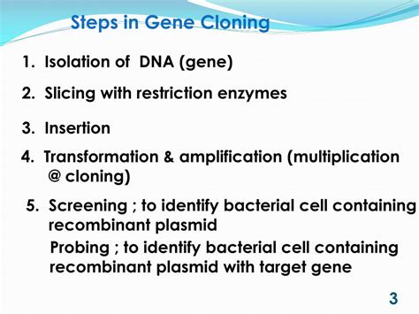 PPT - Methods in Gene Cloning PowerPoint Presentation, free download ...