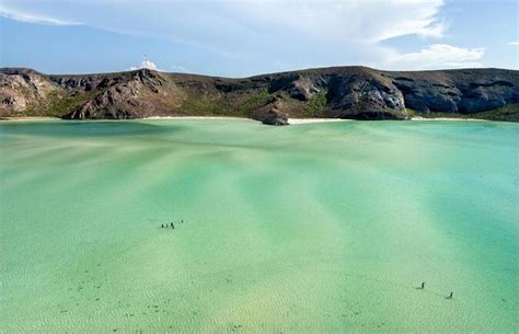 Private Trip Espiritu Santo Island