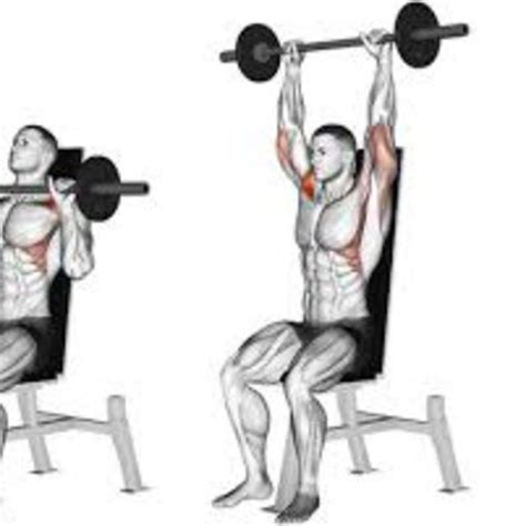 Seated Barbell Shoulder Press by Elizabeth Helmick - Exercise How-to - Skimble