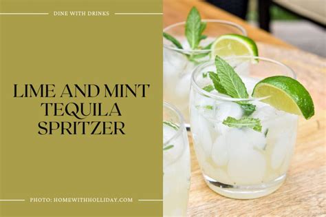 36 Spritzer Cocktails That Will Fizz Up Your Life! | DineWithDrinks