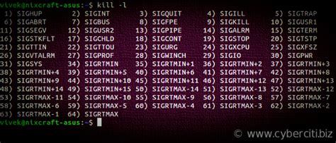 How To Kill Process In Linux Terminate A Process In Unix Nixcraft