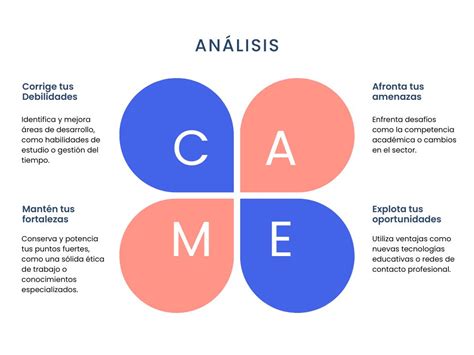 Cómo hacer un Análisis CAME personal Ejemplo Blog de educalive