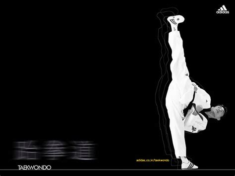 Taekwondo Wallpapers Wallpapersafari