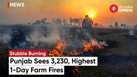 Punjab Stubble Burning Punjab Sees 3230 Highest 1 Day Farm Fires