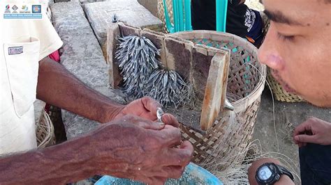 Alat Tangkap Rawai Dasar Menangkap Ikan Ikan Kakap Dan Kerapu Kabupaten