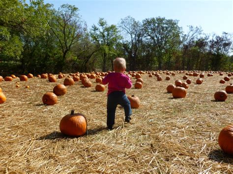 Pumpkin Patch — Cornerstone Kids Ranch