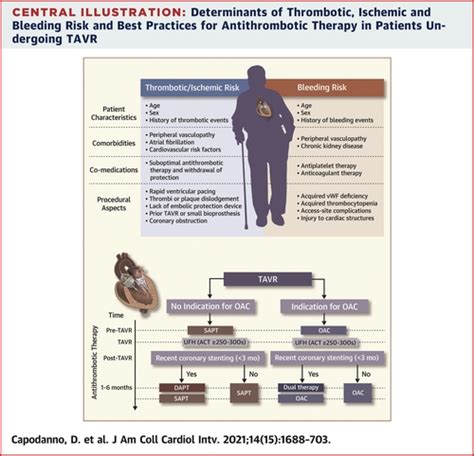 Antithrombotic Therapy After Transcatheter Aortic Valve Replacement