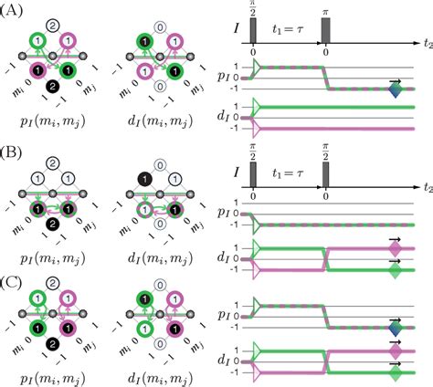 Figure From Two Dimensional Nmr Measurement And Point Dipole Model