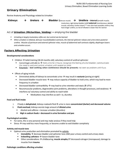 Urinary And Bowel Elimination Study Guide Urinary Elimination